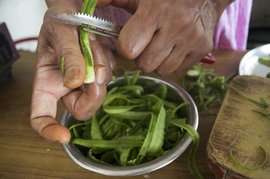 Peeling away traditional Rajasthani cooking