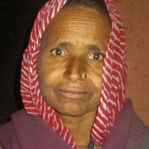 DAKUBAI is a Farmer from Bagdunda, Gogunda, Udaipur, Rajasthan