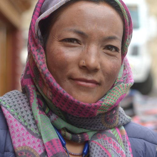 Dechen Yangzes is a Makes and sells knitwear from Leh, Leh, Leh, Jammu and Kashmir