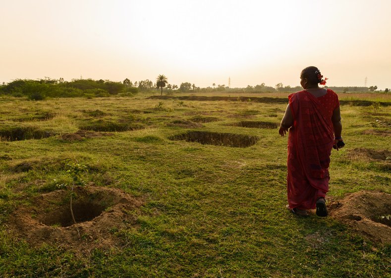 'Where are the jobs for women?' asked S. Sumathi; here she is standing at water absorption pits dug on a dried lake bed, and a few tree saplings planted as part of MGNREGA water conservation projects in Cherukkanur panchayat