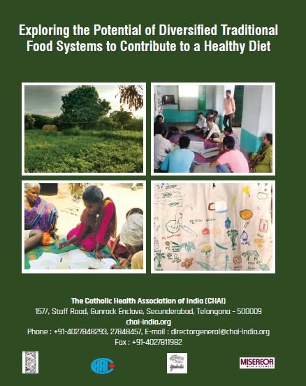 Exploring the Potential of Diversified Traditional Food Systems to Contribute to a Healthy Diet