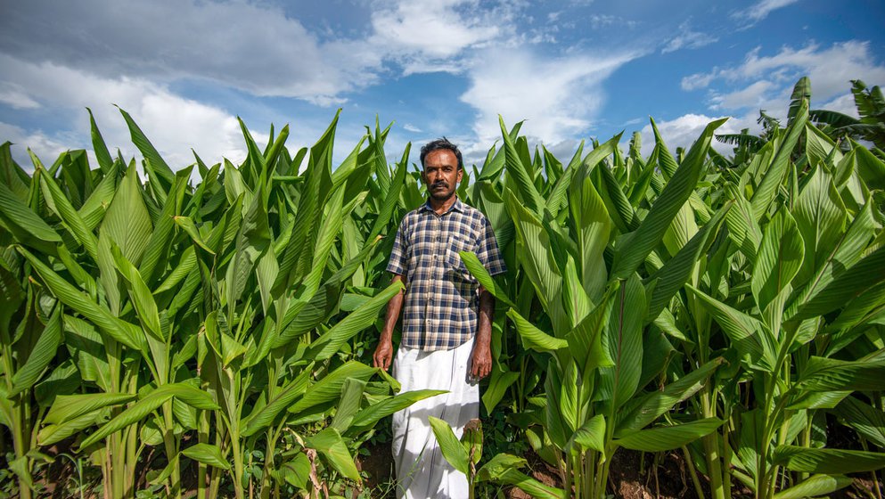 Tucked away in a tiny village in Tamil Nadu’s Erode district, turmeric farmer Thiru Murthy’s story is one of hard-earned achievement – aided by social media, abetted by ingenuity