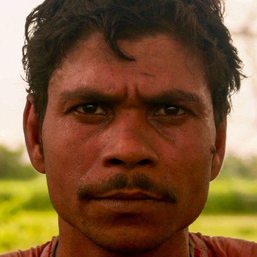 ALIMUDDIN MONDAL is a Labourer from Katabele, Haringhata, Nadia, West Bengal