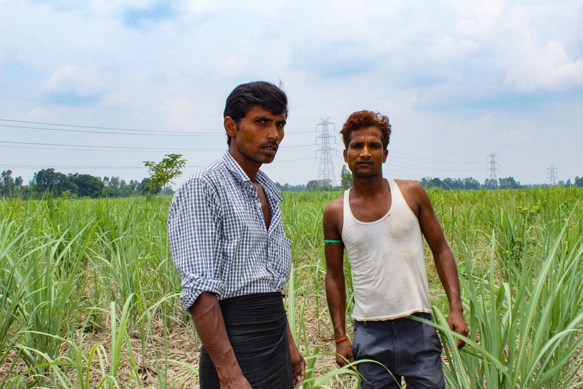Pramod Kumar with his brother Sandeep Kumar in the fields 