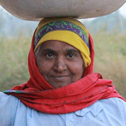 Rajbala is a Farmer and homemaker from Sesoth, Mahendragarh, Mahendragarh, Haryana
