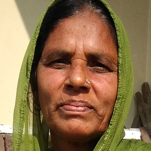 Meena Devi is a Homemaker  from Naggal, Barwala, Panchkula , Haryana