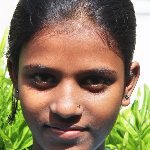 Moumita Ghosh is a Student (Class 5) from Banharispur (Census town), Panchla, Howrah, West Bengal