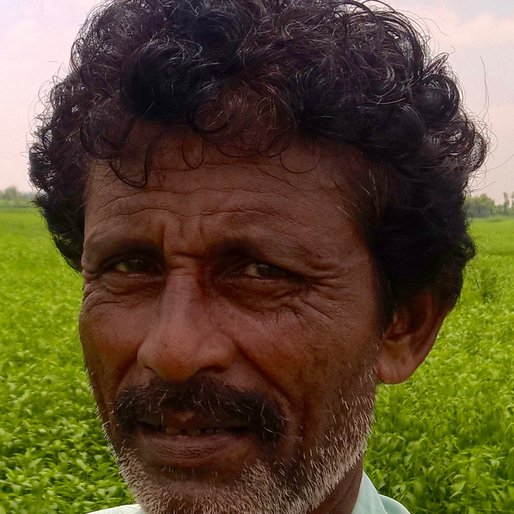 NIBARAN PAL is a Agricultural labourer from Gashapara, Nakashipara, Nadia, West Bengal