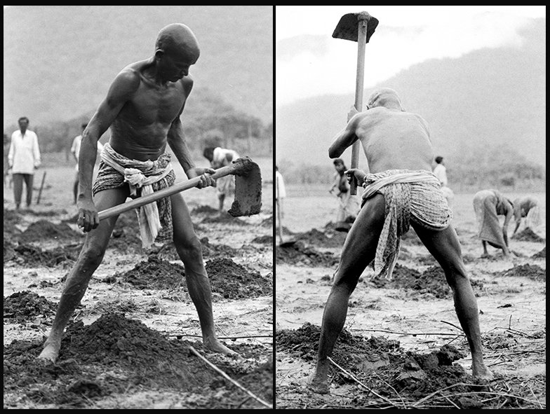 A man working in the field