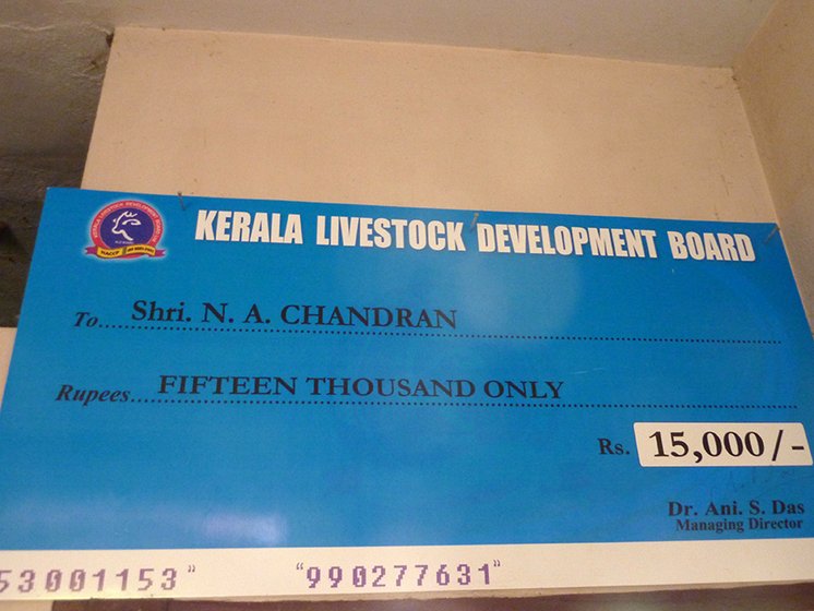 he cheque from the Kerala Livestock Development Board handed over to Chandran Master by the agriculture minister