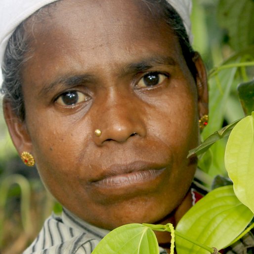 PUSHAPA MURUGAN is a Pepper plantation worker from Karimkulam Chappath, Kattappana, Idukki, Kerala
