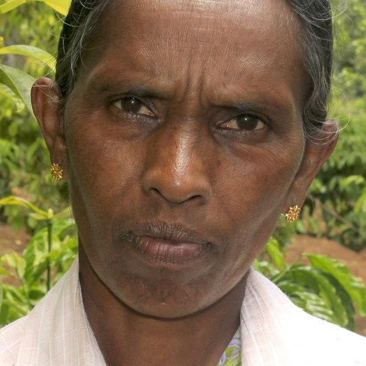 RAMANI KURISHUMUTHU is a Paddy plantation worker from Aladi, Kattappana, Idukki, Kerala