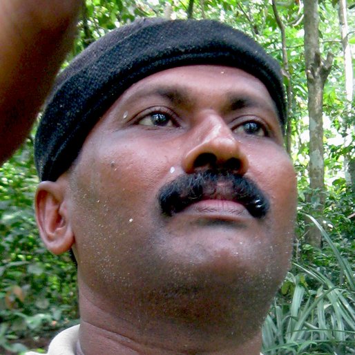 SAM DAVID is a Rubber tapper from Piravanthoor, Pathanapuram, Kollam, Kerala