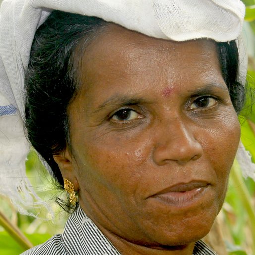 SUJATHA GANESH is a Cardamom plantation worker from Aladi, Kattappana, Idukki, Kerala