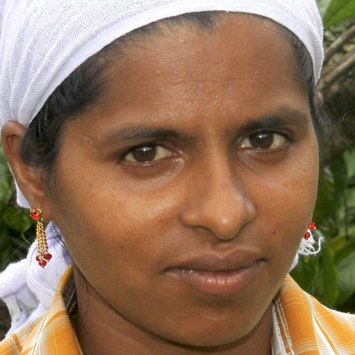 SUNI SHIJO is a Coffee plantation worker from Karimkulam Chappath, Kattappana, Idukki, Kerala