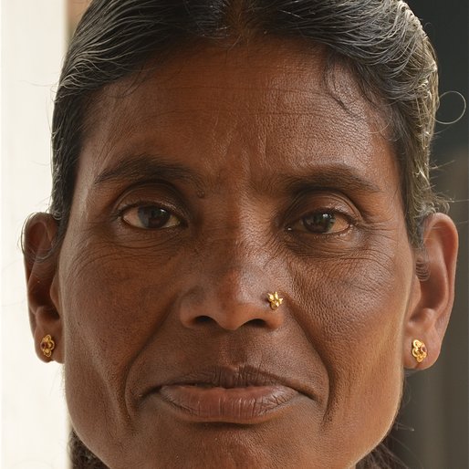SUSHEELA MEGUR is a Domestic worker from Sringeri, Sringeri, Chikmagalur, Karnataka