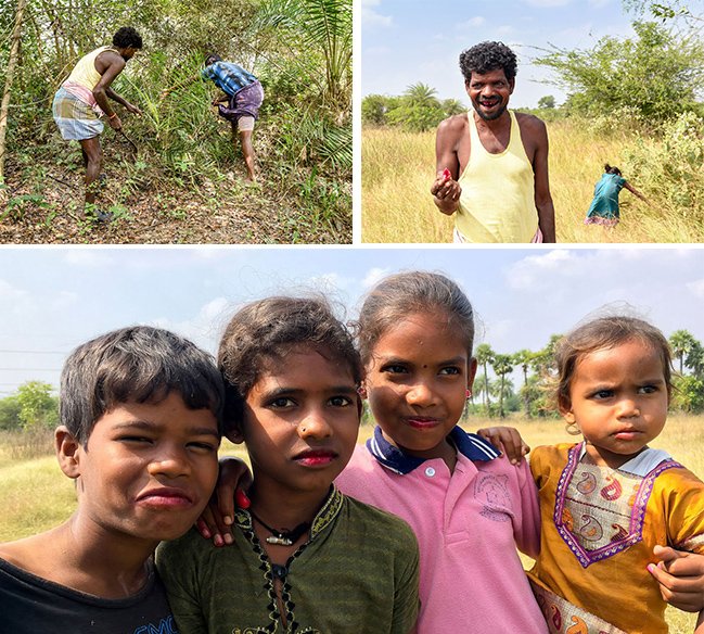 Top row: Manigandan and Krishnan find a kuttikizhangu climber in the forest; Krishnan's teeth turn red from the 'lipstick fruit'. Bottom: For the Irula children of Bangalamedu, the red-staining fruit is a delight

