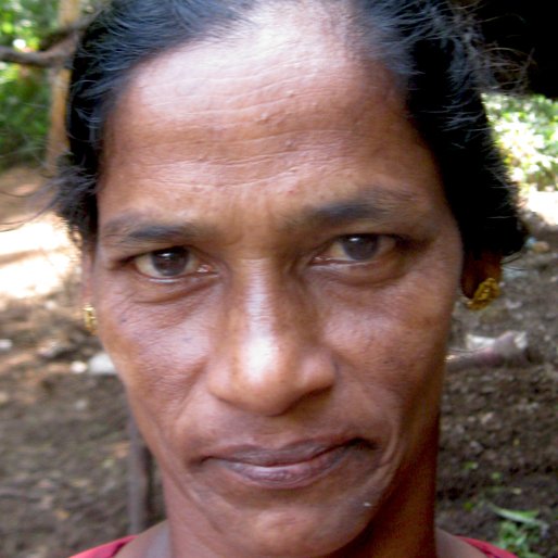 VALSAMMA KOSHY is a Cattle farm worker from Neduvathoor, Kottarakkara, Kollam, Kerala