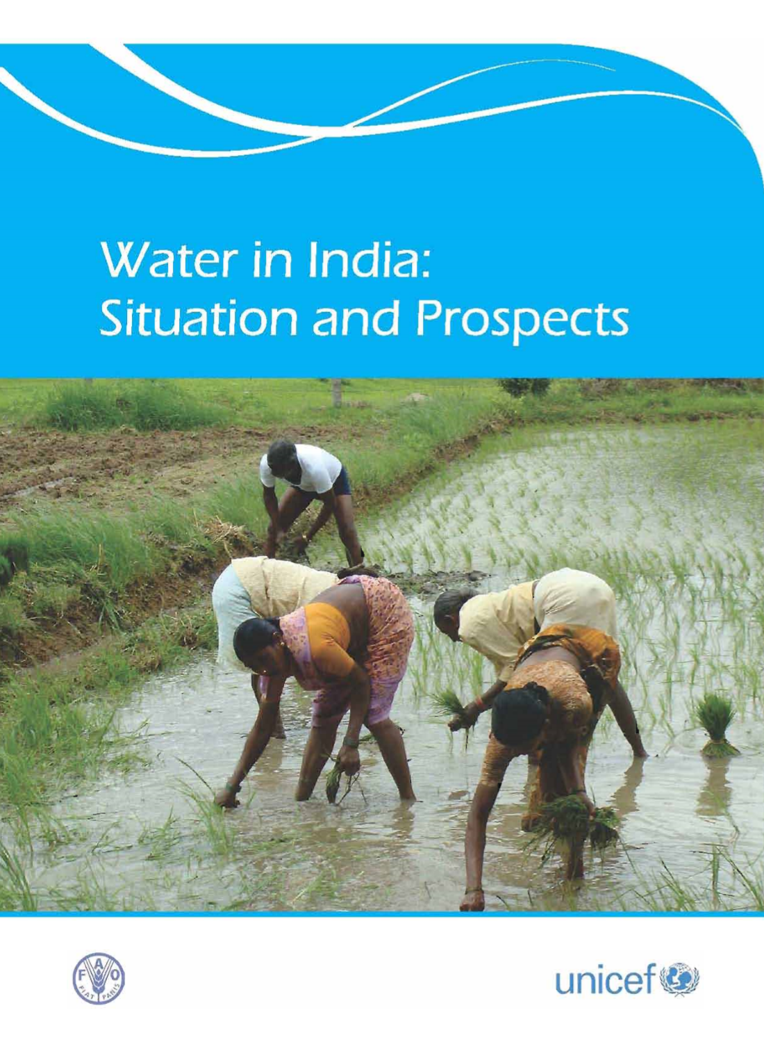 Water in India: Situation and Prospects