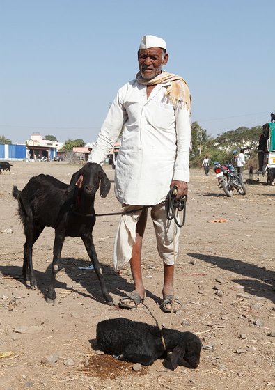Old man with goats.