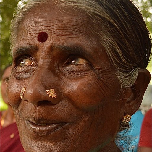V. Nagamma is a Farmer from Edapalayam, Vellore, Tamil Nadu