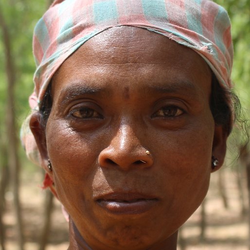 LAKHIHANSDA is a Labourer from Jorkadanga, Bardhaman, West Bengal