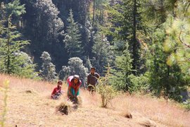 The hill-women of Himachal