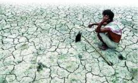 Maharashtra govt says mulling farmer insurance as opposition cites TOI’s suicide reports
