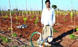 The man with 48 borewells in drought-hit Marathwada