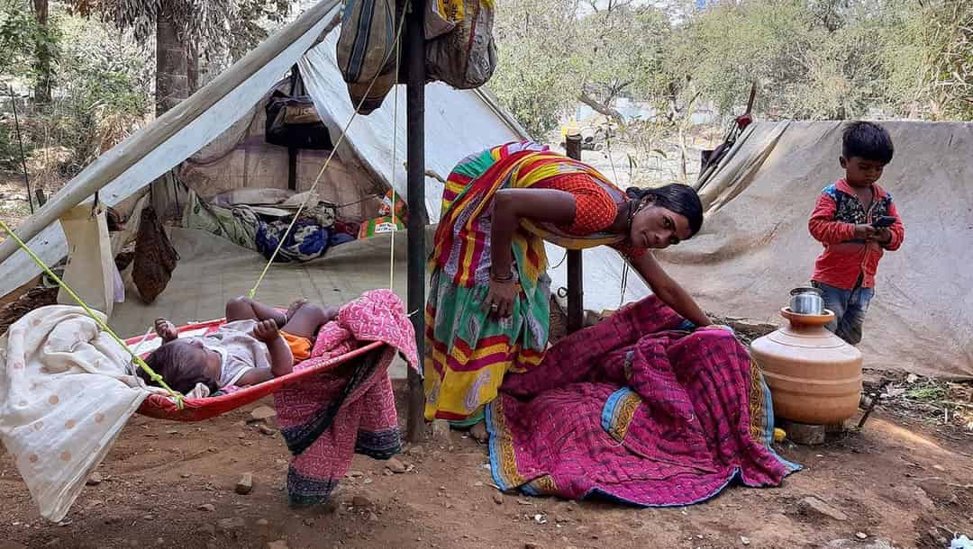 ஹர்பலாவின் வயல்களில் இருந்து மும்பையின் காடு வரை