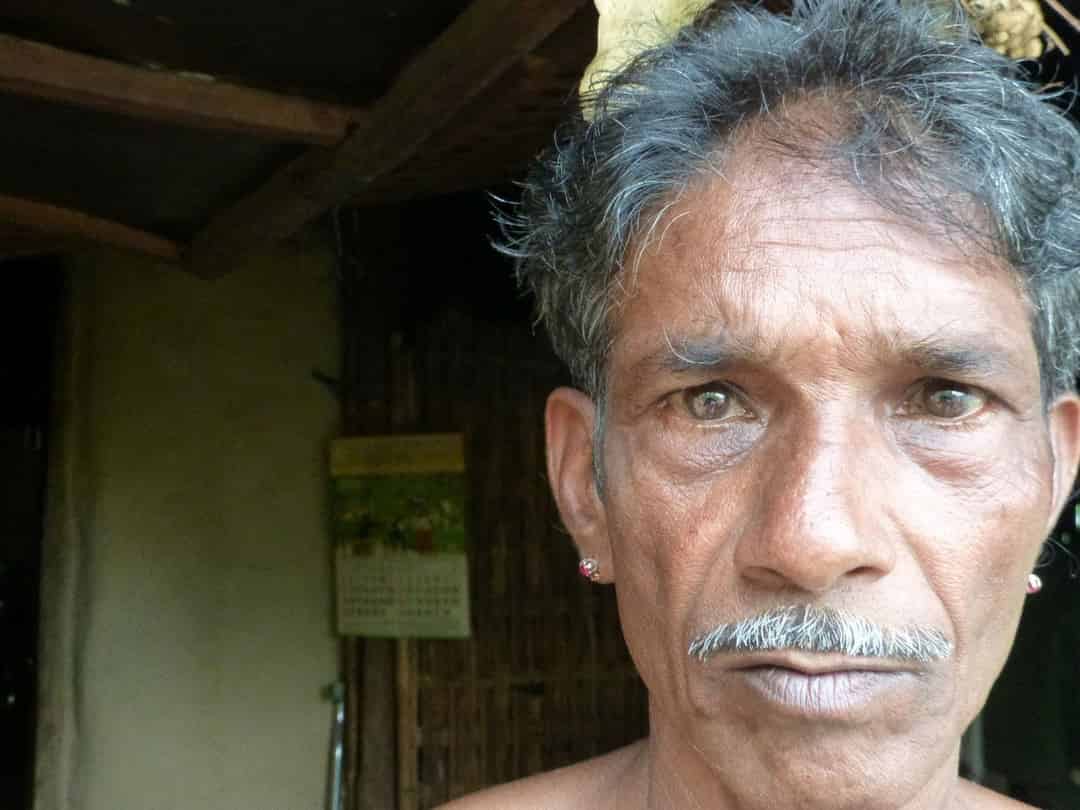 అడవిలో పుస్తక ప్రపంచం