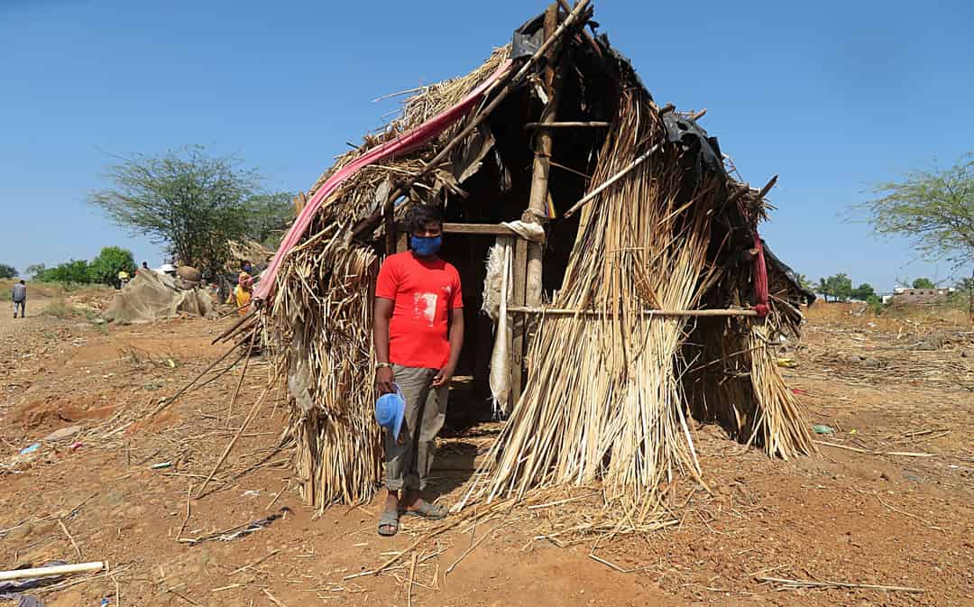 অতিমারি-বিধ্বস্ত পারধি সমাজ: সংক্রমণ, কুঁড়েঘরে একান্তবাস, নিঃস্ব