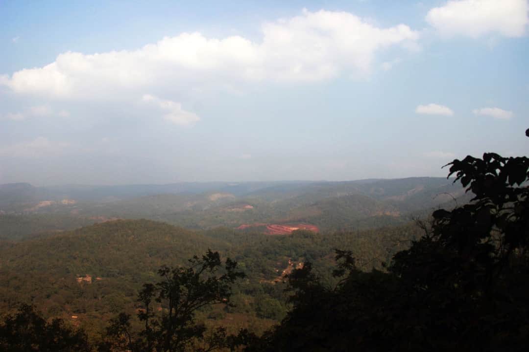 Full width image