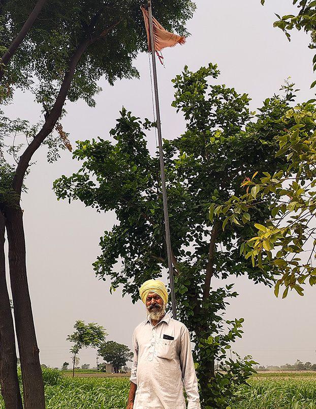 पंजाबमधल्या दलितांनी आतापर्यंत १६२ गावांमधली मिळून तब्बल ४,२१० एकर पंचायत जमीन परत मिळवली आहे. आता ते १९७२ च्या जमीन धारणेची कमाल मर्यादा या कायद्यानुसार (Land Ceiling Act) नेमून दिलेल्या मर्यादेपेक्षा जास्त जमीन बाळगणाऱ्या सवर्ण जातींची मालकी असणाऱ्या जमिनीवर दावा करताहेत