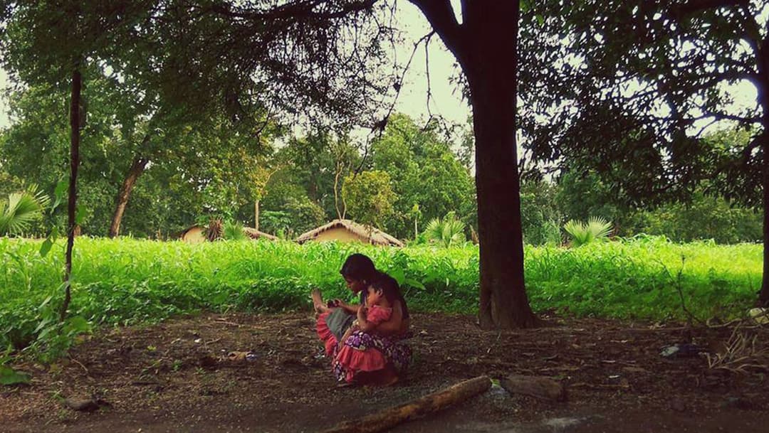 पावसाच्या लाल सरीसारखी बरसणारी मोहाची फुलं