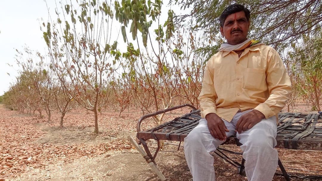 प्रह्लादासमोरील यक्षप्रश्न : गाई की पेरू?