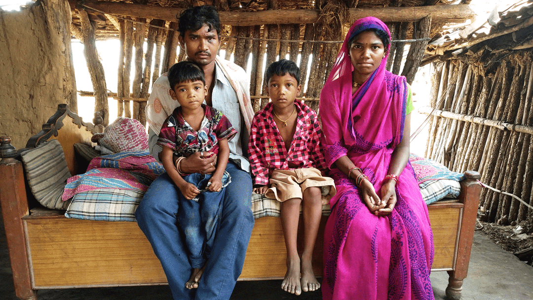 ‘বাঘগুলো সব কোথায় যাবে?’