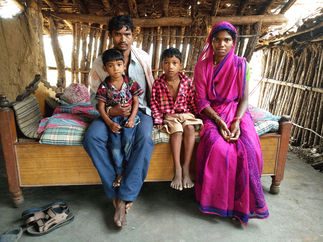 புலிகள் எங்கேதான் போகும்?