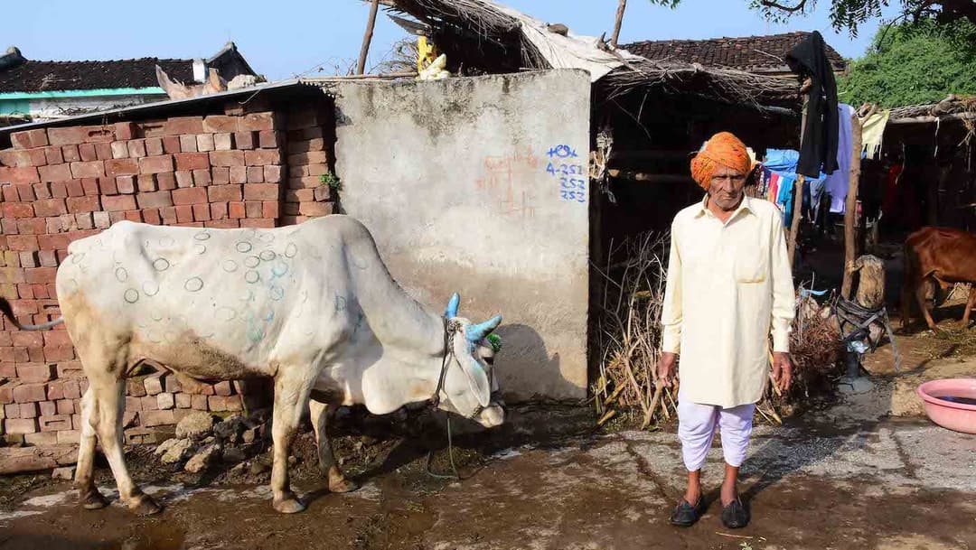 ‘গাওঁখন ভাল পাওঁ, কিন্তু তাত আগৰ দৰে প্ৰাণময়তা নাই’