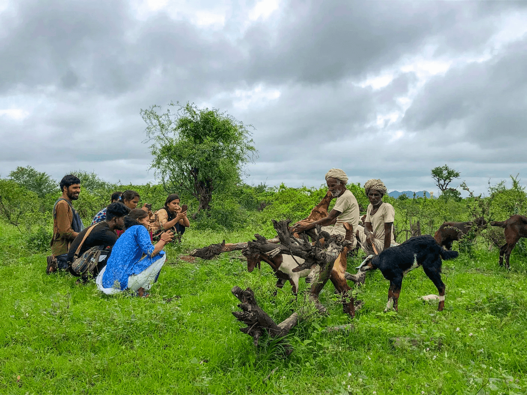 What is a PARI Education?