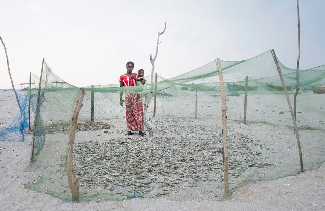 अपने ही देश में उपेक्षित धनुषकोड़ी के निवासी