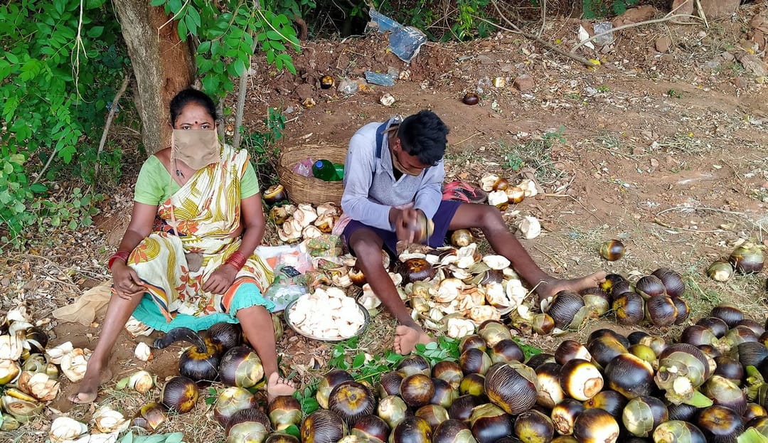 لاک ڈاؤن میں تاڑ پر دوبارہ چھڑنے کو مجبور ایشور