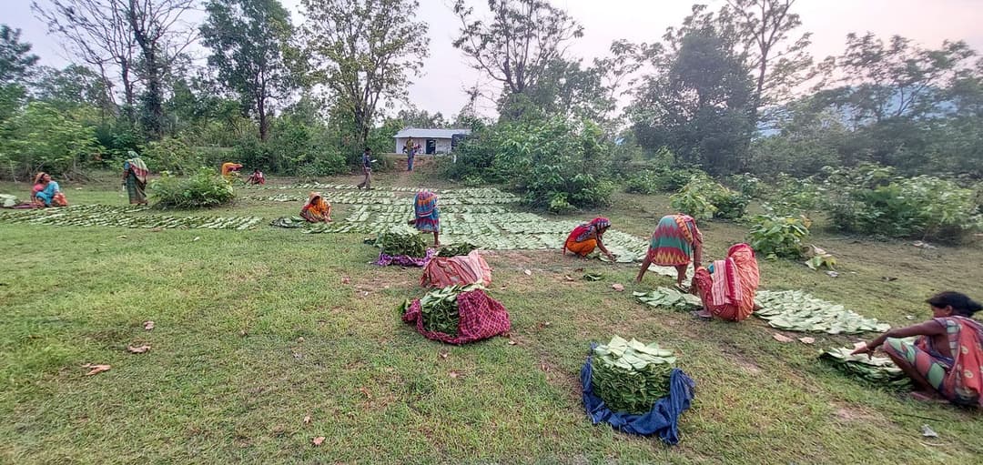 గయాగండాలోని నా ఇల్లు