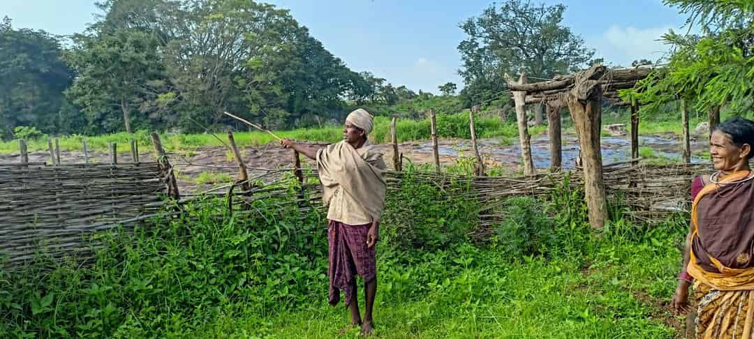 କଠାଫରରେ ଜଙ୍ଗଲୀ ହାତୀଙ୍କ ଉପଦ୍ରବ