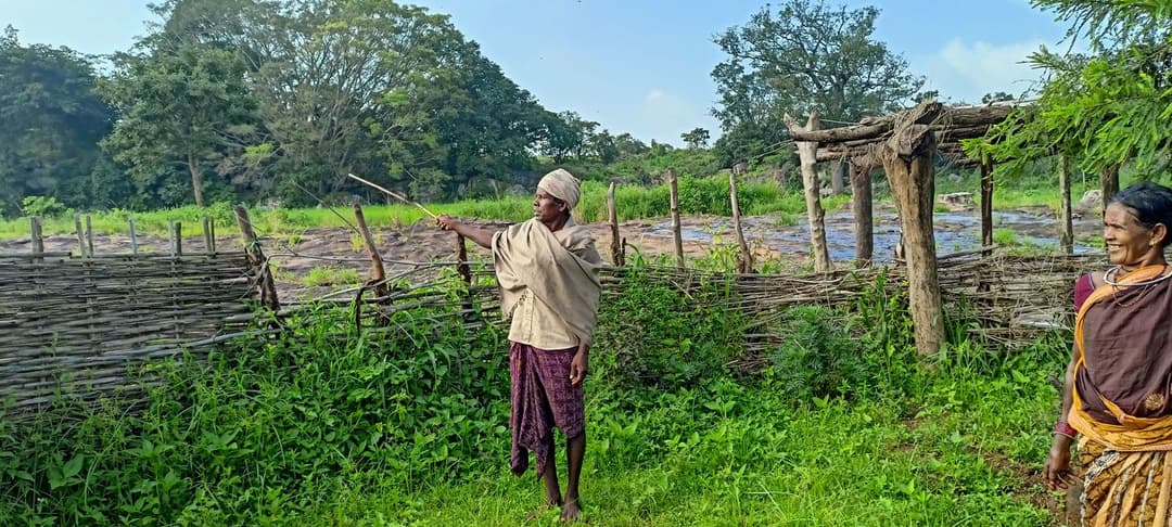 Wild elephants are stopping by in Kathafar
