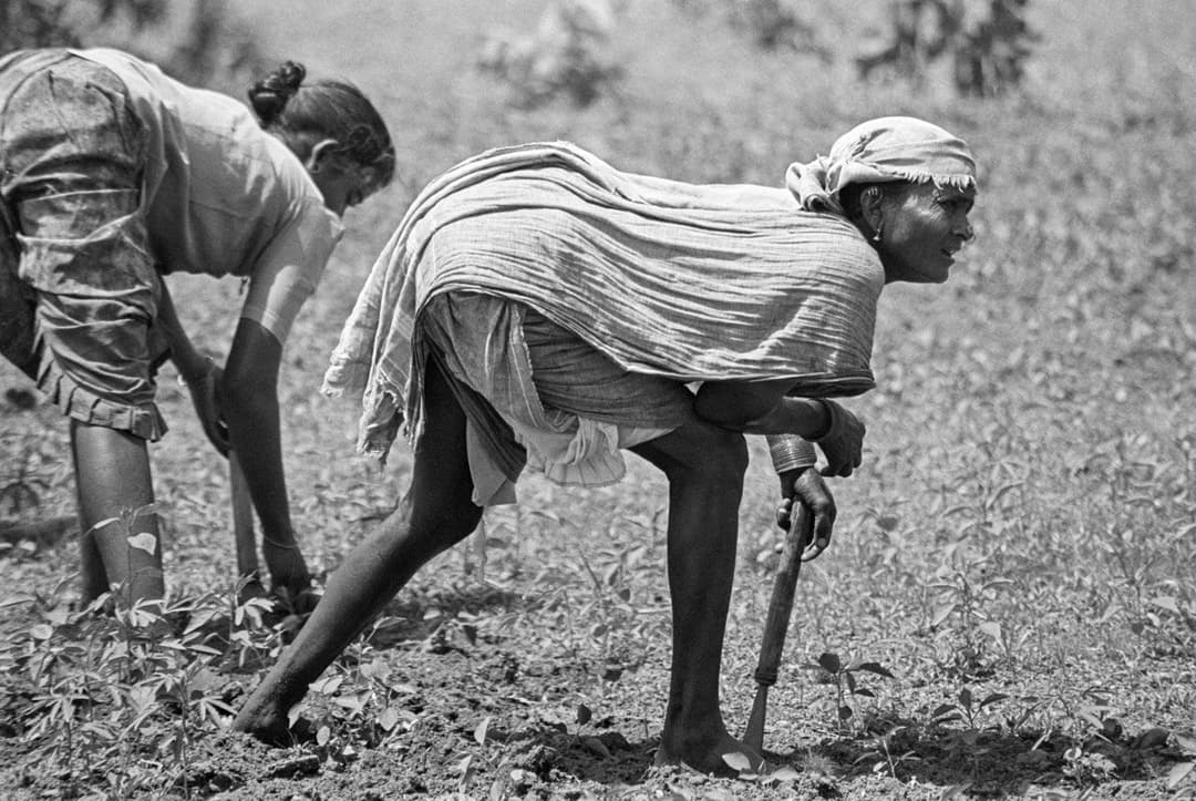 కనిపించే పని, కనిపించని మహిళలు: గ్రామీణ భారతదేశంలో మహిళలు, వారు చేసే పని (వీడియో)