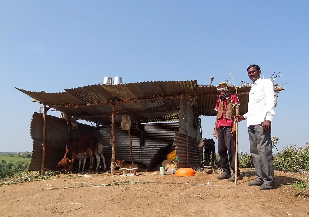 میں جب انھیں گھر واپس دیکھتی ہوں، تو شیر کا شکریہ ادا کرتی ہوں‘