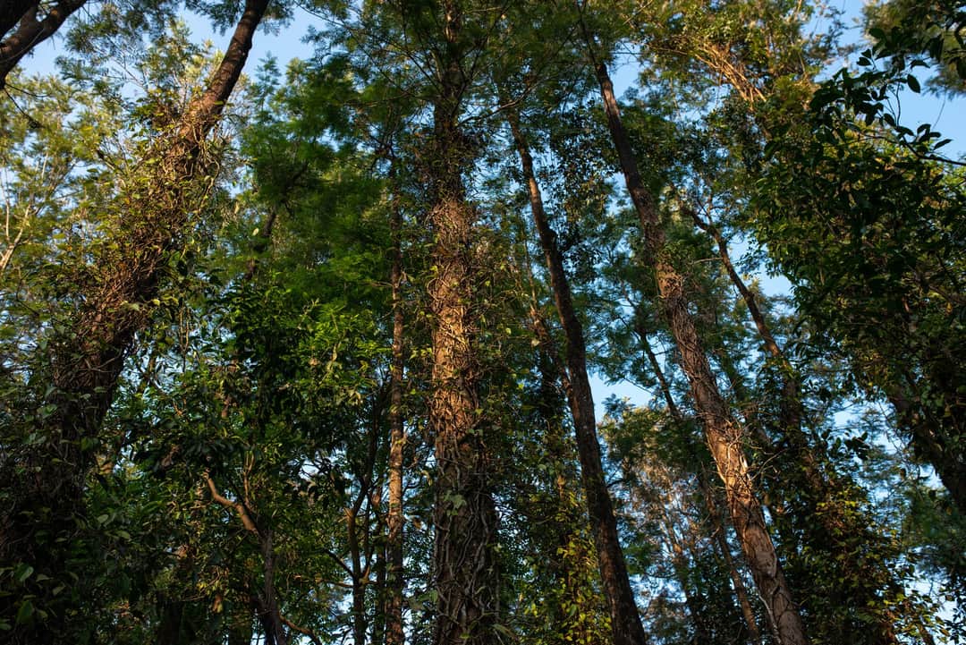 Full width image