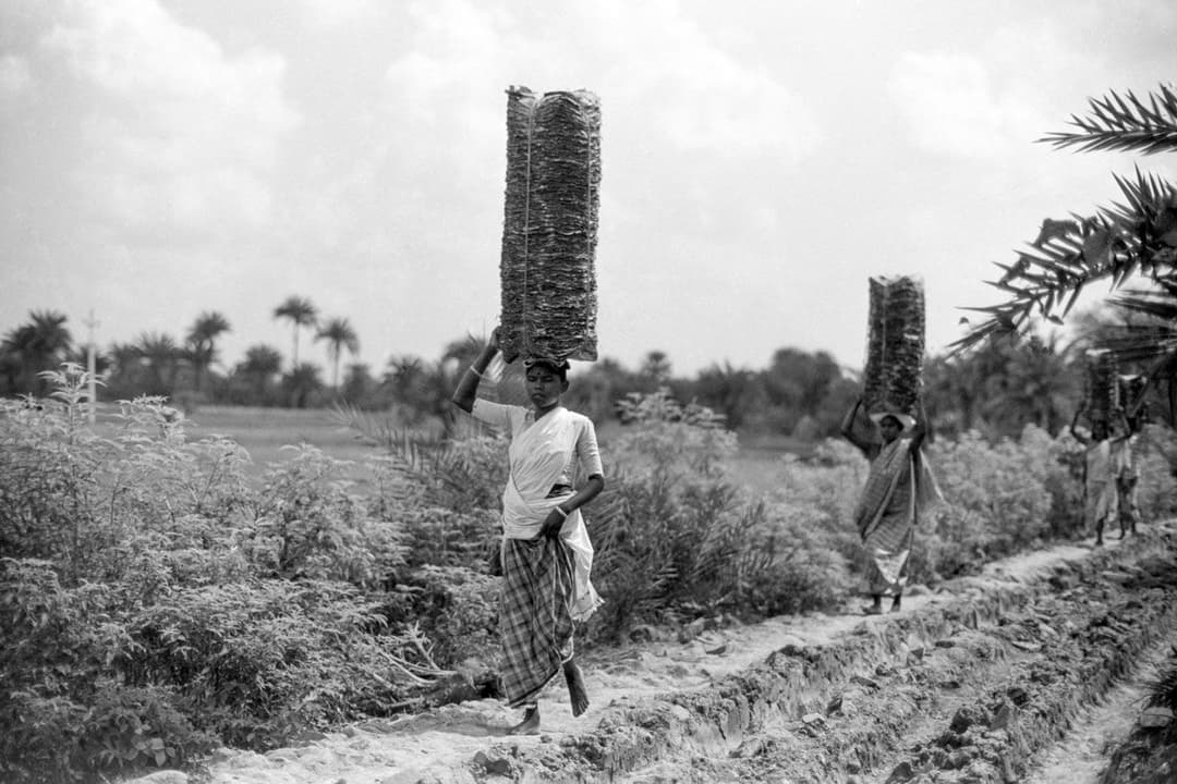 काम ही काम, महिलाएं गुमनाम: बाज़ार चलो, बाज़ार… (पैनल 7)