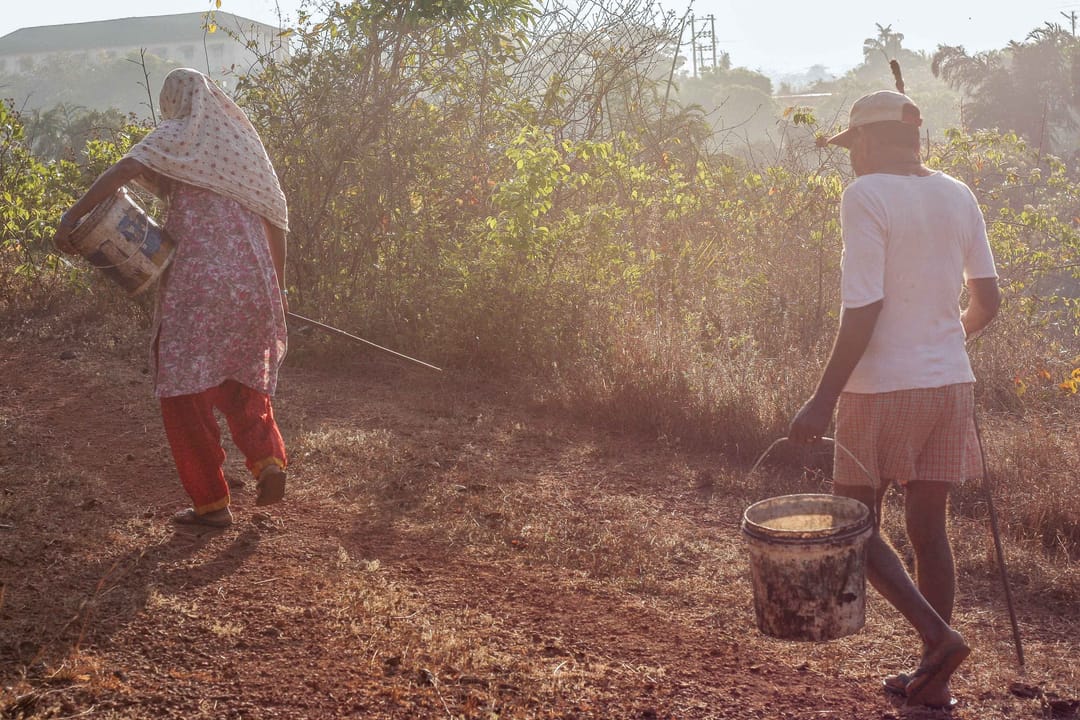 আরাম্বোলের প্রথম ফেনি-প্রস্তুতকারী পরিবার